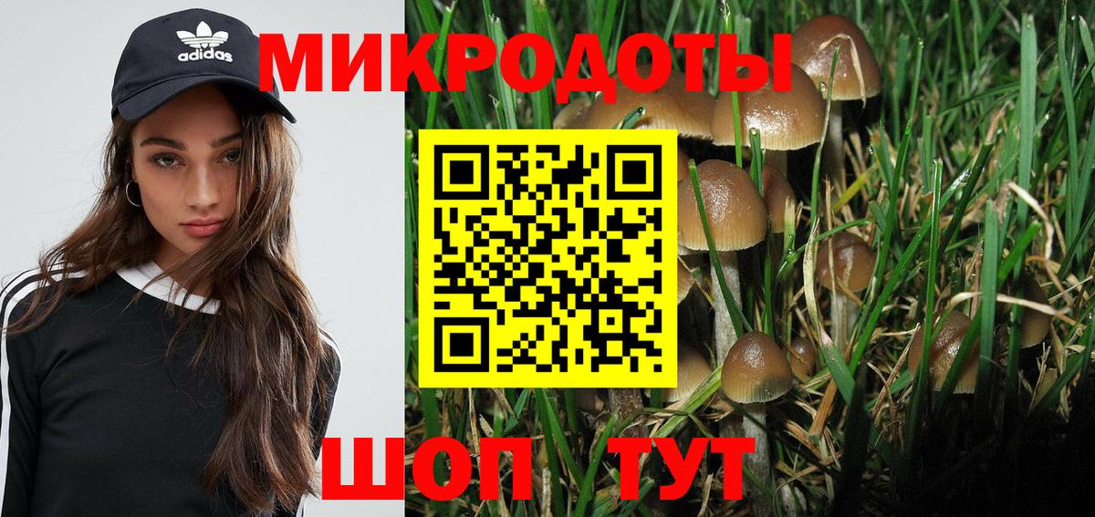 Галлюциногенные грибы Cubensis Кольчугино